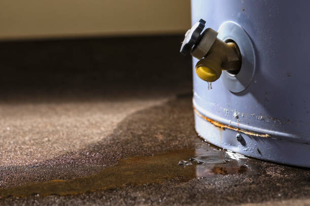 Best Water damage cleanup near me  in Lawrenceville, NJ