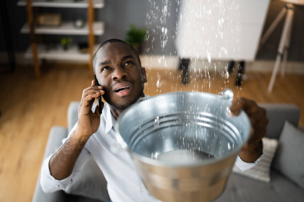 Best Water damage restoration mold remediation  in Lawrenceville, NJ