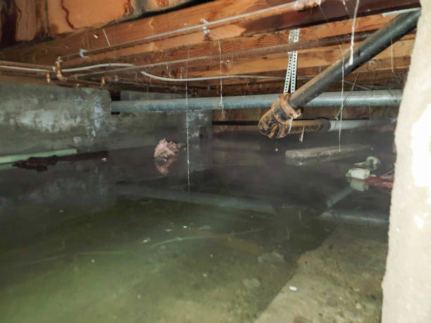 Best Water damage cleanup near me  in Lawrenceville, NJ