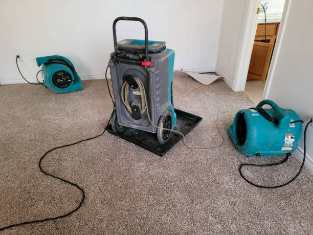 Best Professional water damage repair  in Lawrenceville, NJ