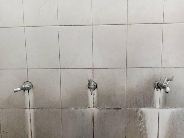 Best Water damage restoration company  in Lawrenceville, NJ