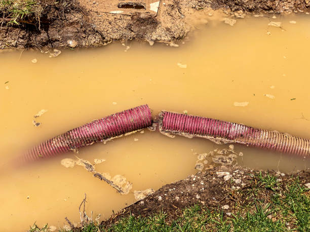 Best Flood damage cleanup  in Lawrenceville, NJ