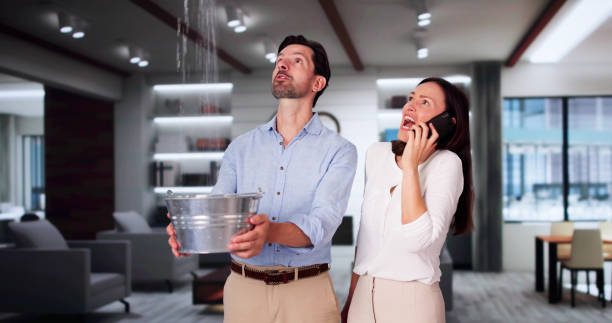 Best Carpet water damage restoration  in Lawrenceville, NJ